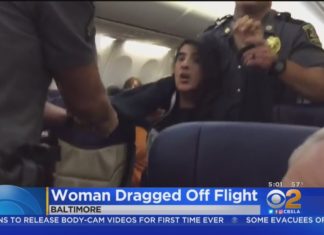 Moslima eist dat twee hondjes aan boord verwijderd worden – wordt zelf het vliegtuig uitgekickt