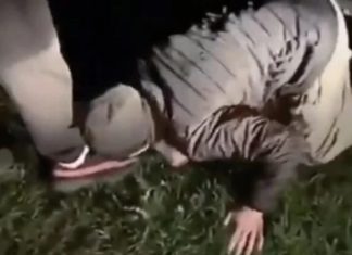 Dominantiecriminaliteit: Zweedse jongen gedwongen schoenen te kussen – naakt gestript en tegen hoofd geschopt