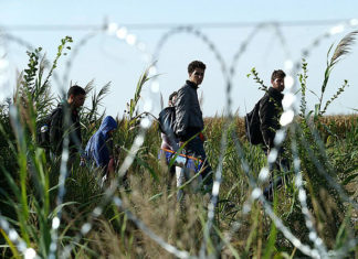Meer aanvallen op de grens: Bosnië waarschuwt voor een nieuwe migratiegolf