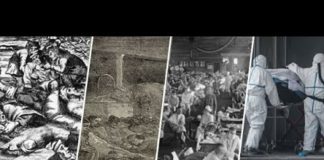 Pest 1720, Cholera-uitbraak 1820, Spaanse griep 1920, Chinees Coronavirus 2020