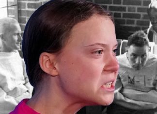 Greta Thunberg is zowel gek als gevaarlijk