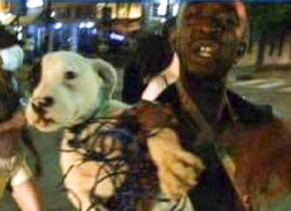 Hond wordt gemarteld door woedende Black Lives Matter zwarten in live-televisie uitzending