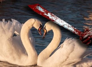 Migrantencrises: Onze dieren zijn niet langer veilig in Europa