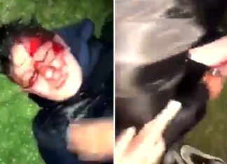 Sadistische zwarten steken een Ierse jongen neer en filmen de aanval