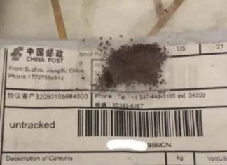 Agrarische oorlogsvoering? Amerikanen ontvangen mysterieuze ongevraagde pakketjes met zaden in de post uit China