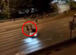 Antiblanke demonstranten blokkeren de snelweg – omgekegeld door auto