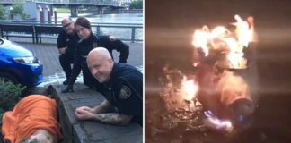 Amerikaanse politie redt levend varken van publieke onthoofding door links als statement tegen politiegeweld