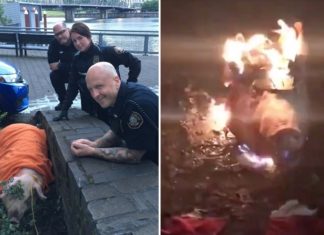 Amerikaanse politie redt levend varken van publieke onthoofding door links als statement tegen politiegeweld