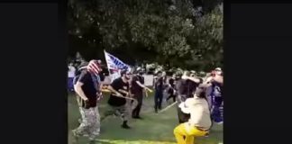 BLM-aanhangers op oorlogspad: Meerdere gevechten in park in Amerika