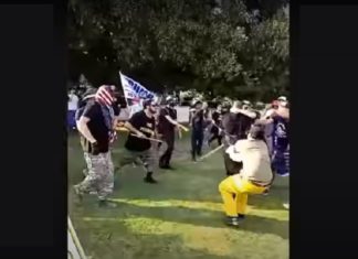 BLM-aanhangers op oorlogspad: Meerdere gevechten in park in Amerika