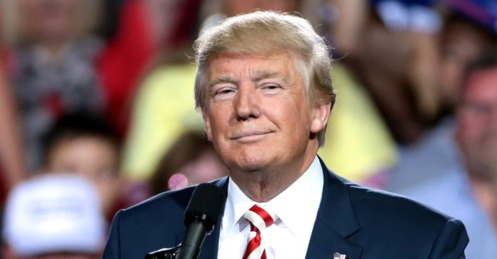 DonaldTrump15