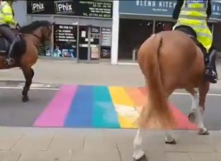 Wanneer zelfs (politie)paarden genoeg hebben van de homopropaganda