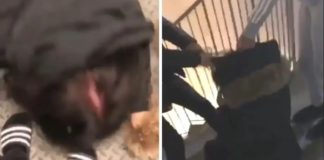 Dominantiecriminaliteit: migrantenbende mishandeld Zweeds meisje en dwingt haar schoenen van de bende te kussen