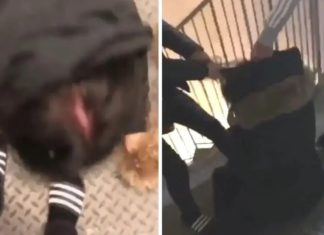 Dominantiecriminaliteit: migrantenbende mishandeld Zweeds meisje en dwingt haar schoenen van de bende te kussen