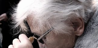 Veiligheid van CoronaVax in Nederland: Verdere update van het onderzoek van Theo Schetters naar openbare gegevens uit NL