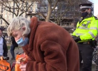 Britse politie beveelt oud besje te stoppen met voeren van duiven krachtens Covid-lockdown regels