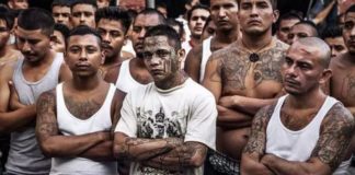 Biden’s populariteit onder links groeit: vrijlating bevolen voor meer dan 14.000 illegalen – waaronder 70% veroordeelde criminelen