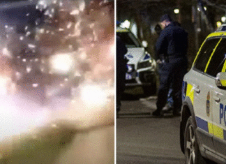 “Spring varkens, spring!”, lachen de migranten terwijl ze vuurwerk op de Zweedse politie afvuren