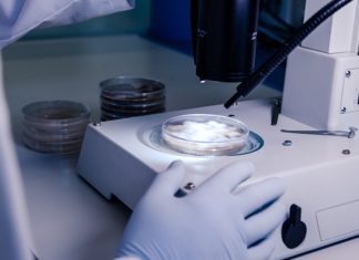 Kwam het Coronavirus toch uit een lab? Linkse media woedend over studie