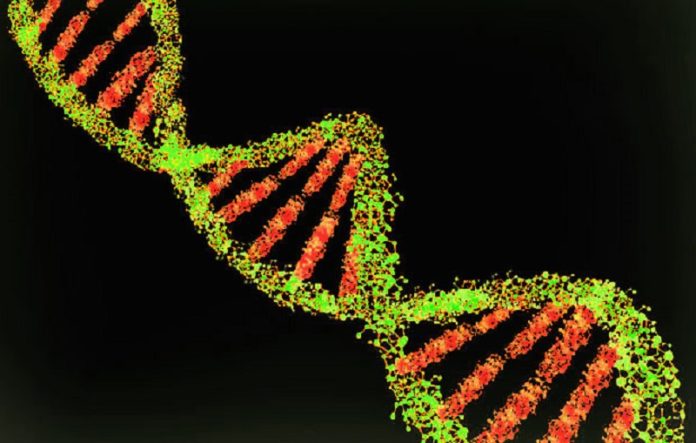DNA
