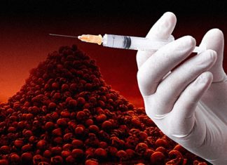 Historische rechtszaak onthult dat er in 32 jaar GEEN veiligheidsonderzoek is gedaan naar vaccins, zoals de wet voorschrijft