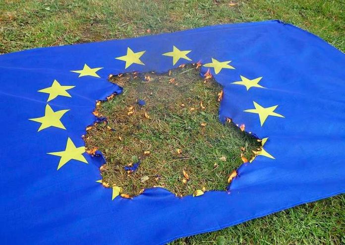 EU-vlag-brand light