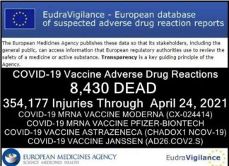 Inmiddels 8.430 DODEN 354.177 GEWONDEN gemeld: Europese database van bijwerkingen van COVID-19 ‘vaccins’