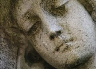 Dr. Naomi Wolf onthult de ontvolkingsagenda van Pfizer, zoals blijkt uit hun eigen documenten