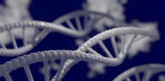 Dr. Reiner Fuellmich: Dit zijn geen vaccinaties, maar gentherapie-experimenten