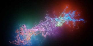 Nog meer slecht nieuws voor de mRNA’s