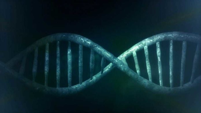 microbiology-163521_960_720 DNA Pixa