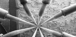 Superparamagnetische nanodeeltjes toegediend via vaccins – gepubliceerde wetenschap legt alles bloot