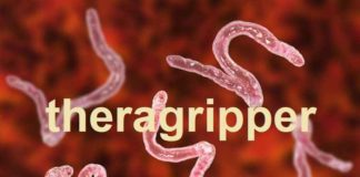 Wormachtige objecten op mondkapjes en PCR-teststaafjes… textielvezels of John-Hopkins’ “Theragripper”? Nano-technische haakwormen laten medicijnen vrij bij lichaamstemperatuur