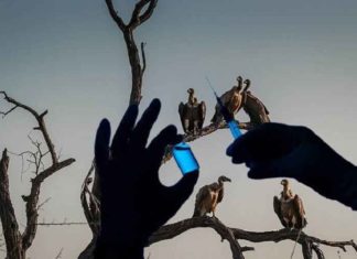 Ruzie in het gierennest: AstraZeneca beweert drie keer meer sterfgevallen na vaccinatie Pfizer dan na AstraZeneca-vaccinatie