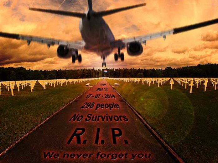 14734444415_6a290965f0_c MH17