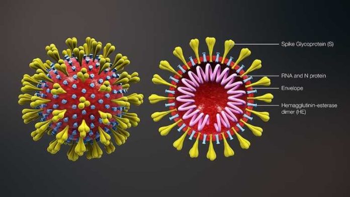 3D_medical_animation_corona_virus-wikimedia-commons