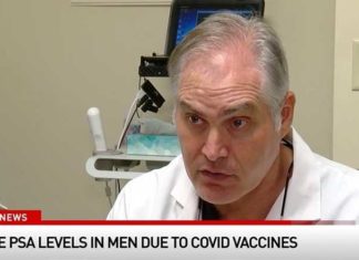 Amerikaanse uroloog vindt tekenen van onvruchtbaarheid en prostaatkanker bij mannen die zijn ingeënt met COVID-19 vaccins