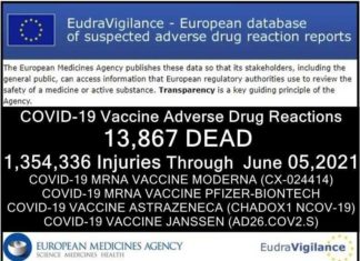 Inmiddels 13.867 DODEN en 1.354.336 GEWONDEN gemeld: Europese database van bijwerkingen van COVID-19 ‘vaccins’
