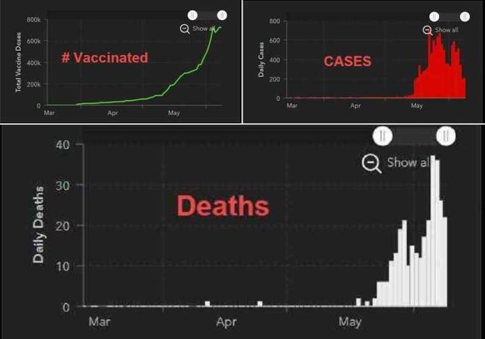 Ik waarschuwde je om het vaccin niet te nemen