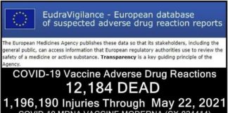 Inmiddels 12.184 DODEN en 1.196.190 GEWONDEN gemeld: Europese database van bijwerkingen van COVID-19 ‘vaccins’