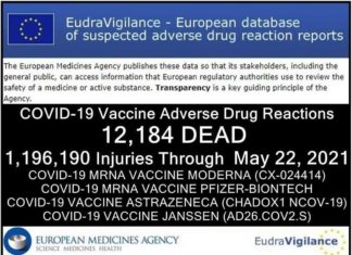 Inmiddels 12.184 DODEN en 1.196.190 GEWONDEN gemeld: Europese database van bijwerkingen van COVID-19 ‘vaccins’