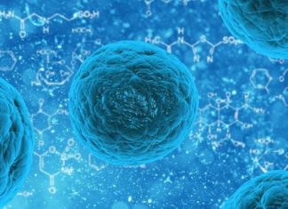 mRNA-vaccins: eerste aanwijzingen voor langetermijneffecten