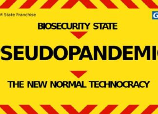Pseudopandemie