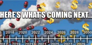De Scamdemie was zo 2020… Dit is wat er nu komt