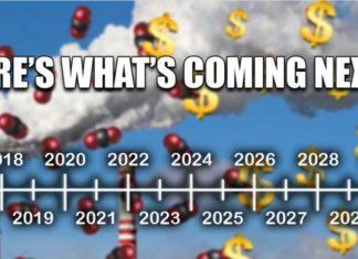 De Scamdemie was zo 2020… Dit is wat er nu komt