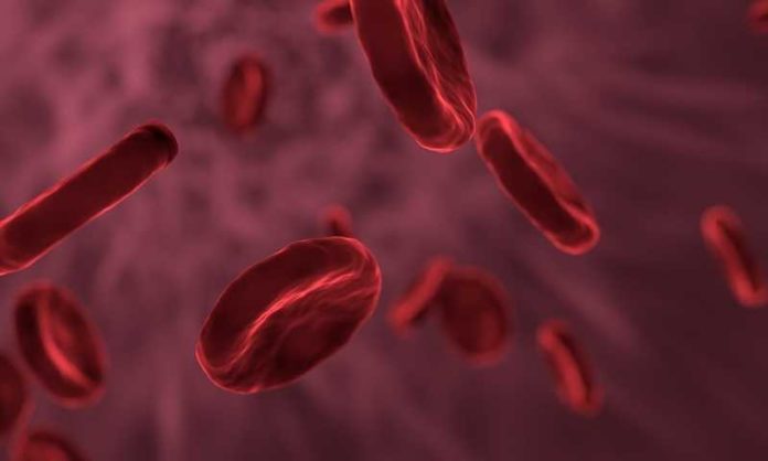 red-blood-cells-3188223_960_720 bloed