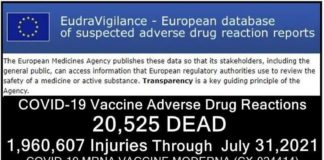 20.595 DODEN 1,9 miljoen gewonden (50% ernstig) gemeld in de EU-databank van bijwerkingen van COVID-19 injecties