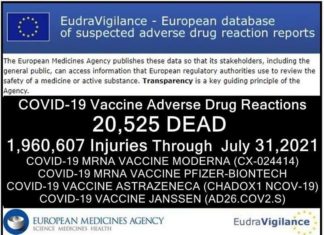 20.595 DODEN 1,9 miljoen gewonden (50% ernstig) gemeld in de EU-databank van bijwerkingen van COVID-19 injecties