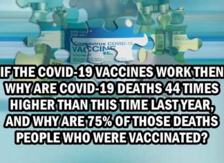Als de Covid-19 vaccins werken, waarom zijn de Covid-19 sterfgevallen dan 44 keer zo hoog als vorig jaar rond deze tijd, en waarom zijn 75% van die sterfgevallen mensen die gevaccineerd waren?