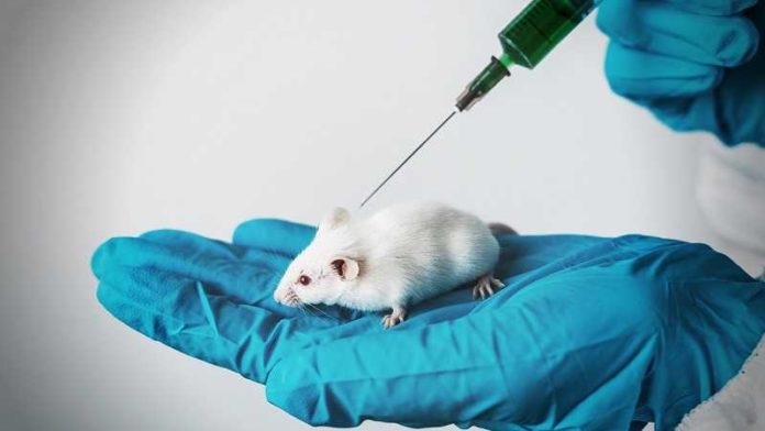 labmuis vaccin